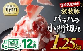 豚肉 【12ヶ月定期便】宮崎県産豚肉　放牧豚パラパラ小間切れ1.25kg（250g×5袋）【 豚肉 豚 肉 小間切れ 細切れ 炒め物 】[C08104t12]