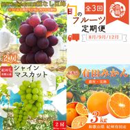 〈定期便〉【8・9・12月 全3回】紀州和歌山産旬のフルーツセット(種なし巨峰・シャイン・みかん) ※離島への配送不可