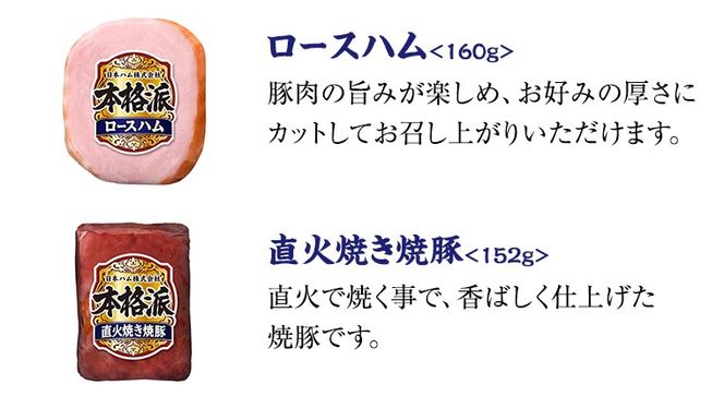 日本ハム 筑西工場 ギフトセットB 肉 にく 贈答 ギフト 詰め合わせ ハム ソーセージ ウィンナー 生ハム 焼豚 [AA081ci]