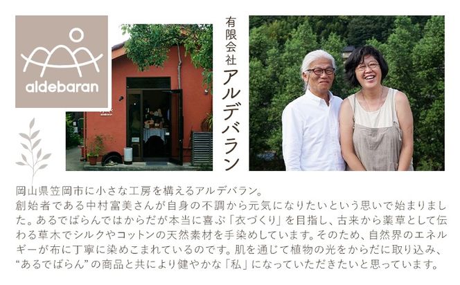 布ナプキン ナプキン シルク コットン 働く女性の スターターセット シルクホルダー シルクハンカチ型 大判 小判 計9枚 有限会社アルデバラン《45日以内に出荷予定(土日祝を除く)》岡山県 笠岡市 オーガニックコットン シルク 布ナプキン---A-261---