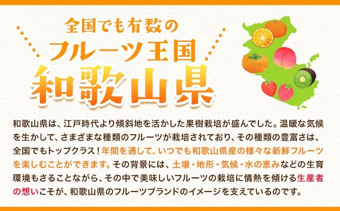 手剥き八朔缶詰(ミックス)450g×8本入 紀の里農業協同組合 《90日以内に出荷予定(土日祝除く)》和歌山県 紀の川市---wsk_jakhskc_90d_22_13000_8h---