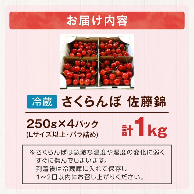 【先行予約2026年7月上旬より発送】余市の砂川果樹園が贈る もぎたて直送さくらんぼ 佐藤錦 1kg箱_Y033-0038