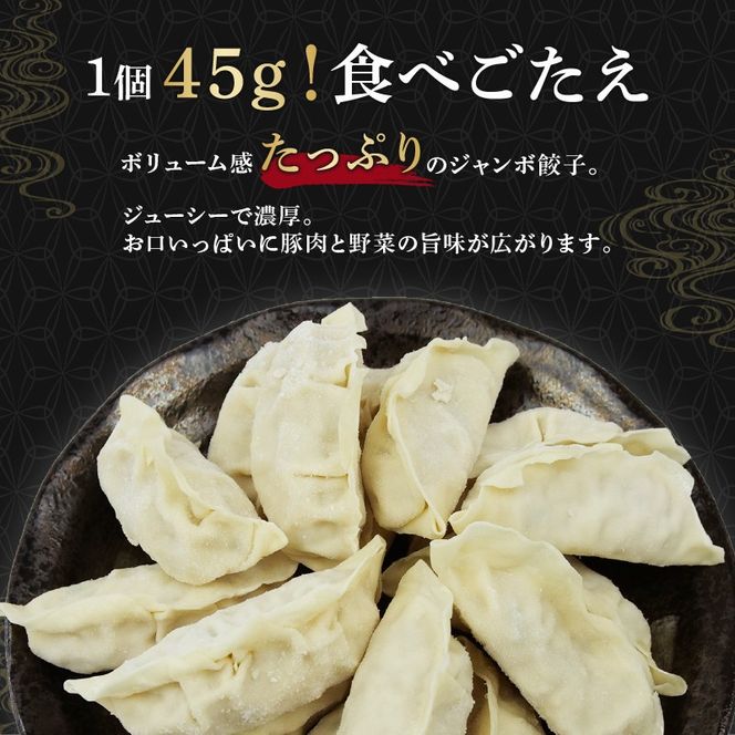 ジャンボ 餃子 60個 国産野菜 国産豚肉 冷凍 餃子 大きめ ぎょうざ ギョウザ ギョーザ おつまみ 冷凍食品 食品 惣菜 中華 惣菜 業務用 おかず ビール