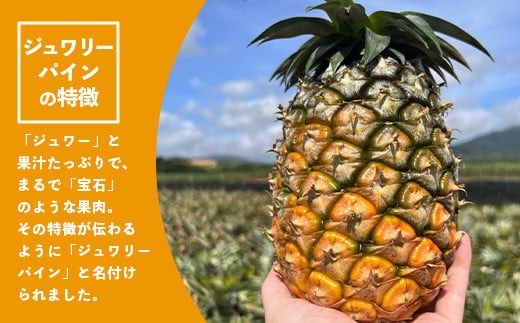 《2026年5月～7月順次発送》【先行予約】最高糖度20度以上！？ 完熟の極 石垣島産ピーチパインとジュワリーパインの食べ比べセット【 沖縄 石垣 ジュワリー ピーチ パイン パイナップル 完熟 セット フルーツ デザート 食べ比べ 】 TF-32_R8