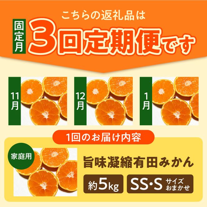 【3回定期便】【2026年先行予約】【ご家庭用】旨味凝縮有田みかん 約5kg（SS・Sサイズ）【湯浅町】_AT60-T01