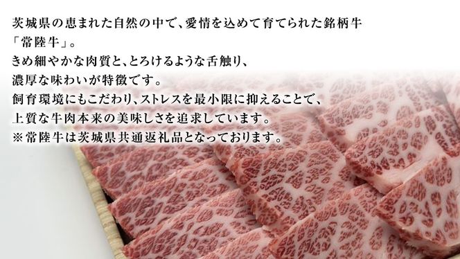 【 常陸牛 】 焼肉用 500g 茨城県共通返礼品 化粧箱入り A4 A5 ブランド牛 国産 牛肉 肉 お肉 黒毛和牛 和牛 ギフト 贈答 [AD009ci]