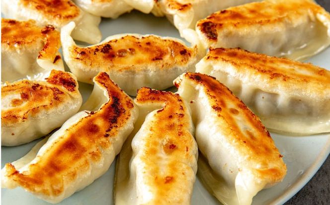 冷凍マグロギョーザ 36個(12個入り3パック) 餃子 冷凍 国産 マグロ 沖縄産 沖縄市 / 沖縄市漁業協同組合 パヤオ直売店[BCDZ010]