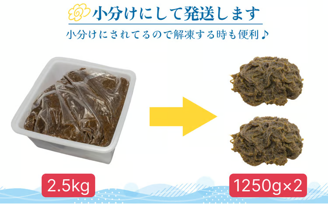 【ふるさと納税】生産量日本一！うるま市塩蔵もずく（お徳用）２．５Kg　塩漬け　もずく　塩蔵　沖縄　手軽　贈り物　冷凍　天ぷら　沖縄そば　ミネラル　海　沖縄　うるま市　勝連