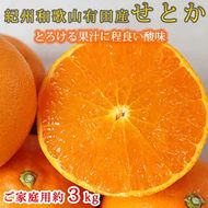 とろける食感!ジューシー柑橘 せとか 約3kg 【家庭用 訳あり】｜みかん ミカン 柑橘 果物 くだもの フルーツ せとか 甘い 先行予約 国産 産地直送 人気 美浜町