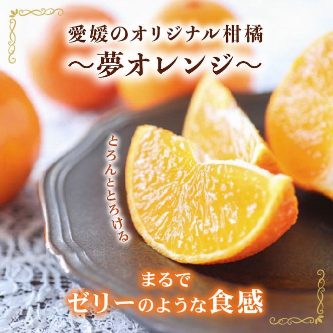 【先行予約】訳あり みかん職人の夢おれんじ 小粒っ子 3kg 先行予約 柑橘 果物 フルーツ オレンジ 愛媛 みかん職人武田屋 蜜柑 愛果28号 愛媛果試第28号 まどんな 小玉 蜜柑 甘い 甘さ みかん かんきつ らんきんぐ 柑橘 冬 旬 食べごろ 農家 農家直送 農園 人気 みかん職人 武田屋 産直 みかん職人武田屋 愛媛県 愛南町