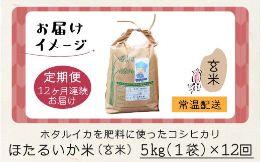 【訳あり】ほたるいか米（玄米５kg）×12回 計60kg【12ヶ月定期便】