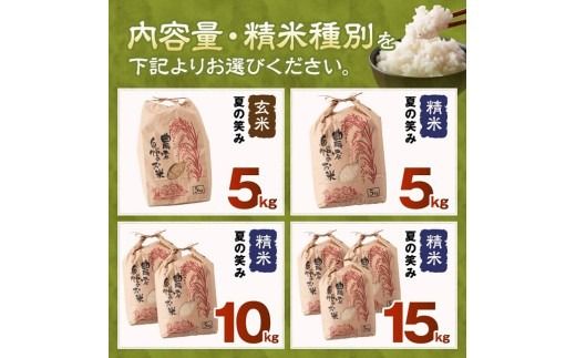 ※選べる内容量・精米種別※【令和8年産】川南町産  永友農園「夏の笑み」5kg/10kg/15kg　【 新米 米 お米 玄米 白米 国産 宮崎県産 国産米 】ⅡⅧ [B10605 B10606 B10607 B10608]