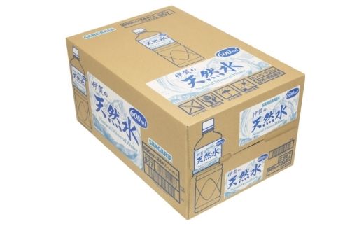 【12ヶ月定期便】サンガリア伊賀の天然水 １ケース（1ケース：600mL×24本）【igge-tkb0020】