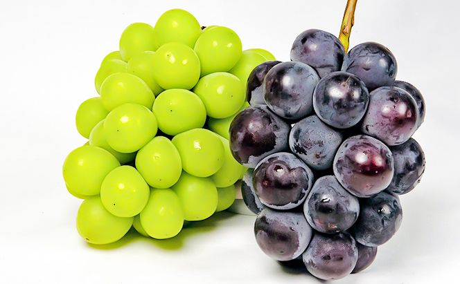 ぶどう 2026年 先行予約 果物 詰合せ ニュー ピオーネ 1房480g以上 シャイン マスカット 晴王 1房 480g以上 化粧箱入り  岡山県産 国産 フルーツ 果物 ギフト 贈答品 フルーツ詰め合わせ 食べ比べ 