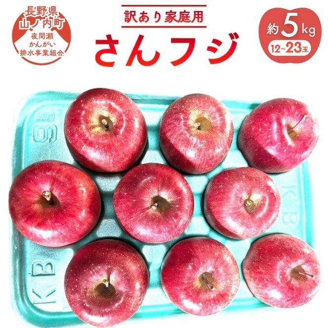 【2026年12月発送】サンふじ 訳あり家庭用 約5kg 12～23玉 りんご 果物 訳あり 信州 長野