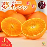 【先行予約】訳あり みかん職人の夢おれんじ 小粒っ子 3kg 先行予約 柑橘 果物 フルーツ オレンジ 愛媛 みかん職人武田屋 蜜柑 愛果28号 愛媛果試第28号 まどんな 小玉 蜜柑 甘い 甘さ みかん かんきつ らんきんぐ 柑橘 冬 旬 食べごろ 農家 農家直送 農園 人気 みかん職人 武田屋 産直 みかん職人武田屋 愛媛県 愛南町