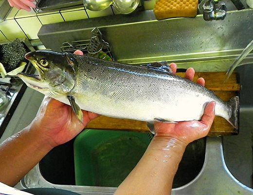 びわます棒寿し【630g】【DH01W】（滋賀県　近江八幡市）