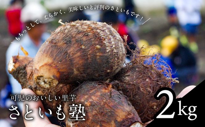 可児のおいしい里芋『さといも塾』2kg 【0011-002】