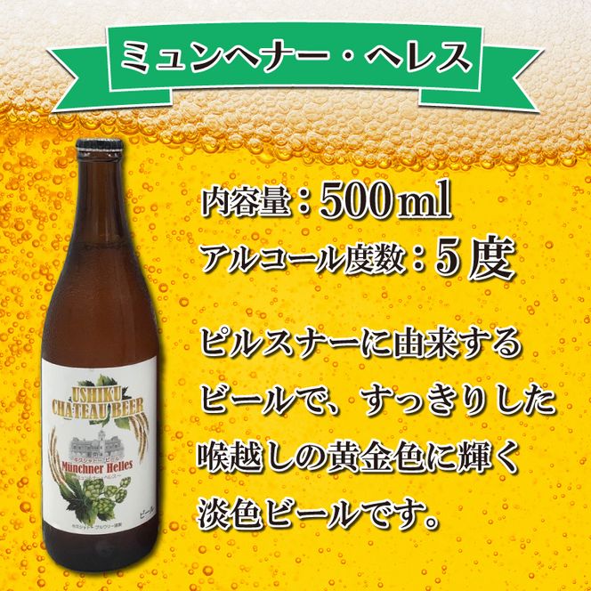 FI-1 牛久シャトービール3種類6本セット（茨城県共通返礼品 牛久市） 地ビール クラフトビール お酒 飲み比べ 詰め合わせ セット お土産 お祝い 贈り物 ギフト 贈答 記念日 国産 茨城