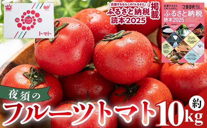夜須のフルーツトマト 10kg 【旅サラダに取り上げられました！】 先行予約受付 期間限定 季節限定 野菜 やさい フルティカ 完熟 小ぶり 小さめ 糖度 熨斗 のし対応可 贈り物 おやつ サラダ フレッシュ 新鮮 送料無料 産地直送 高知県 香南市 yu-0022