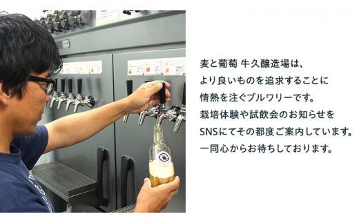 【 3ヶ月隔月 】 クラフトビール おまかせ 定期便 6本セット 飲み比べ 茨城県産 牛久醸造場 330ml × 6本 ビール 地ビール クラフト お酒 贈り物 ギフト 詰め合わせ [BJ033us]