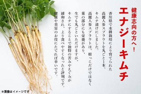 【5カ月定期便】【一子相伝】秘伝のエナキム(高麗人参スプラウト・キムチ)1袋1本入り【本場の味 秘伝の味 韓国 ピリ辛 健康志向 滋養強壮】(H104144)