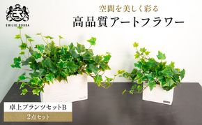 エミリオロバ　卓上プランツＢセット