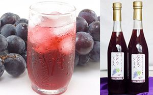 加西ゴールデンベリーA　ジュース 果実飲料 ぶどうジュース ブドウ 飲料 