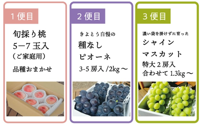 【2026年先行予約】旬採り桃とピオーネ、シャインマスカットが届く3回便！(定期便) (岡山県産)【KF-T001-03】