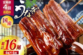うなぎ 国産 日向うなぎ 蒲焼 中 4尾 計500g以上 4回 丑の日 定期便 [日向サンパーク 宮崎県 日向市 452061711] ギフト 小分け 真空パック 鰻 ウナギ うなぎの蒲焼 蒲焼 蒲焼き