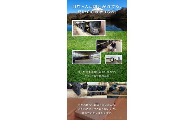 1274.鳥取和牛 サーロインステーキ 150g(1枚) 313726_AJ127