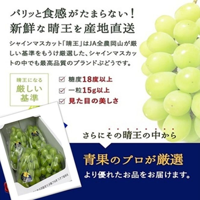 ぶどう 2026年 先行予約 シャイン マスカット 晴王 3～5房 2kg前後 （10月上旬～11月下旬発送分） ブドウ 葡萄  岡山県産 国産 フルーツ 果物 ギフト 岡山のブドウ デザート 食べ物 日本産