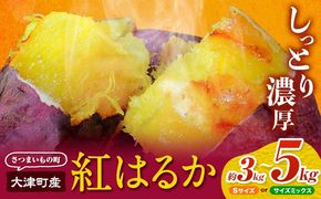 【先行予約】タカハマ観光農園 の 紅はるか 選べる 約3kg or 約5kg Sサイズ《1月上旬-5月末頃出荷》熊本県 大津町 さつまいも さつま芋 芋 スイートポテト 干し芋 焼き芋---oz_thm_12_3kg---