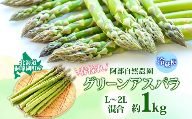 北海道 洞爺湖町産 グリーンアスパラ 約1kg L～2L混合 5月下旬頃お届け 2026 先行受付 路地 アスパラ アスパラガス 野菜 農作物 サラダ 天ぷら 新鮮 国産 人気 お取寄せ 産地直送 冷蔵 洞爺湖 