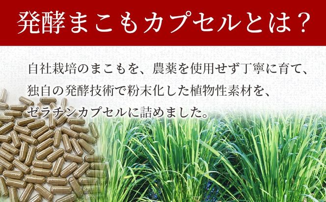 ＜発酵まこもカプセル2号サイズ 100粒入り＞ 翌月末迄に順次出荷 【自然素材 自然派サプリ 植物性サプリ 健康 発酵食品 健康補助食品 健康をサポート 飲みやすいサイズ 腸活 国産 植物性食品 真菰 マコモ 株式会社サンマコモ 国産 宮崎県 国富町】【b0982_sm】