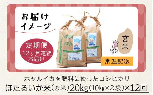 【訳あり】ほたるいか米（玄米20kg）×12回 計240kg【12ヶ月定期便】