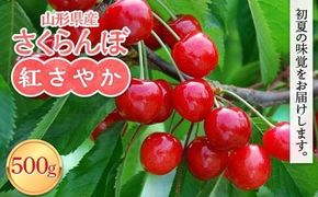 FYN6-051 ≪2026年先行予約≫山形県産 さくらんぼ 紅さやか 500g M～L バラパック詰め 2026年6月上旬から順次発送 果実 果物 くだもの フルーツ 早生 桜桃 サクランボ 自宅用 家庭用 山形県 西川町 月山