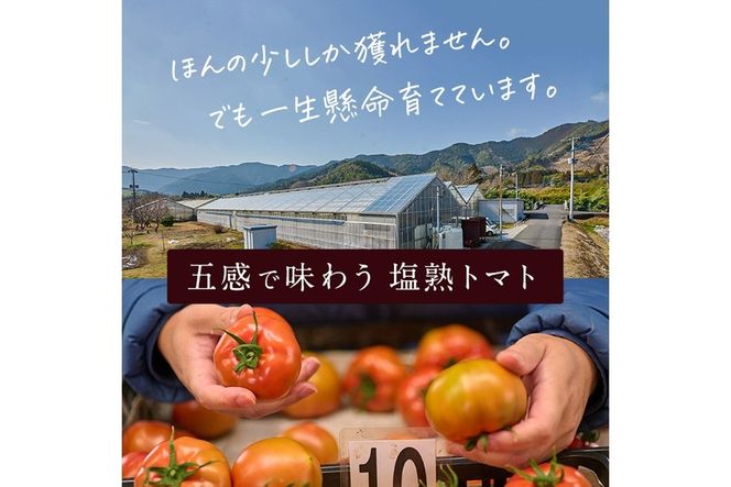 ＜先行予約受付中！2026年3月より順次発送予定＞塩熟トマト KitachiRosso (計1kg) 糖度10度以上 塩トマト 塩とまと とまと トマト 野菜 大分県 佐伯市 九州産 国産 お取り寄せ 大分県 佐伯市【AK7c】【げんきファーム】