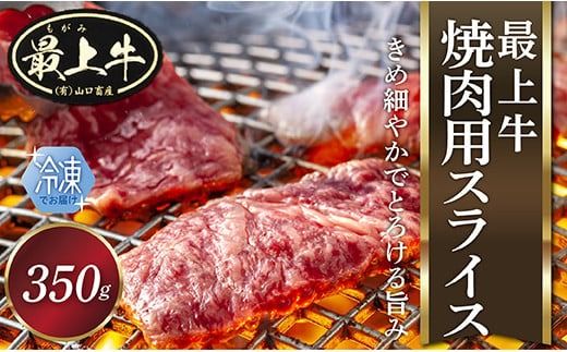 yR`ŏ㒬zyⓀzŏ㋍ēpXCX350g