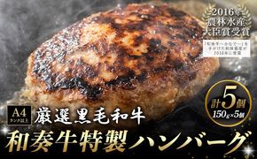 厳選くまもと黒毛和牛ハンバーグ 5個 (1個150g)《30日以内に出荷予定(土日祝除く)》熊本県 大津町 和牛焼肉LIEBE くまもと黒毛和牛 ハンバーグ 冷凍 リーベ---so_fliekrham_30d_24_15500_5p---