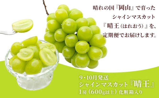 ぶどう 2026年 先行予約 晴れの国 岡山の シャイン マスカット 晴王 定期便 2回（各1房600g以上） 葡萄  岡山県産 国産 フルーツ 果物 ギフト