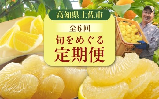 【6回定期便】文旦＆小夏バラエティ定期便 土佐の柑橘フルコース〈水晶文旦・温室文旦・土佐文旦・甘熟とさ小夏・土佐小夏〉/ 文旦 ぶんたん ブンタン 土佐文旦 水晶文旦 温室文旦 柑橘 フルーツ 果物 くだもの 定期便【白木果樹園】 [BQAI062]