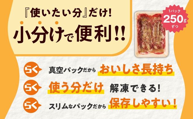 099Z625 【分けて届く定期便】ねぎ塩 牛たん（成型）合計 1kg 小分け 250g×4【牛タン 牛肉 焼肉用 薄切り 訳あり サイズ不揃い 全2回】