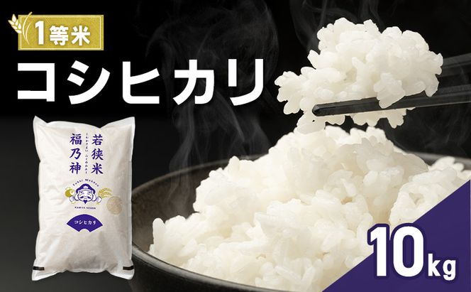 令和7年産 コシヒカリ 10kg（一等米・神谷農園） 米 お米 こしひかり 若狭町
