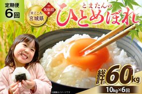 6回 定期便 米 宮城県産 とまたんのひとめぼれ 10kg (5kg×2袋) 総計60kg [サンフレッシュ小泉農園 宮城県 気仙沼市 20566087] ひとめぼれ ブランド米 白米 精米 ご飯 ごはん コメ こめ お米 小分け 家庭用