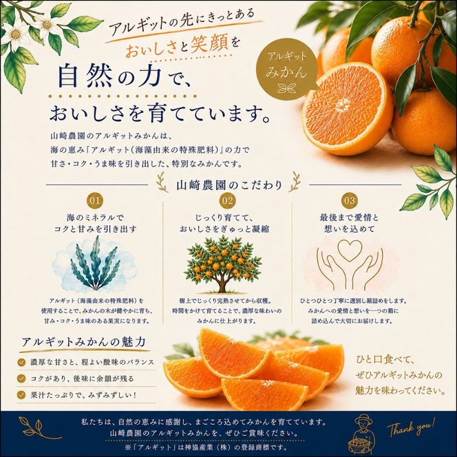 ネーブルオレンジ 約5kg サイズおまかせ アルギット 栽培 国産 甘い おいしい ジューシー 皮 薄い 完熟 期間限定 フルーツ 果物 人気 おすすめ 高級 こだわり ギフト 旬 山崎農園 和歌山 DT24