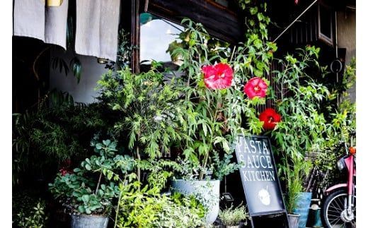 【2-91】専門店のパスタソースセットM