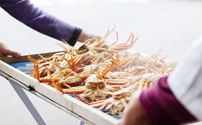 新物 セコガニ コッペがに ほぐし身（特大サイズ）3個セット 甲羅盛り〈お申込み～2026年7月中旬発送〉 蟹 カニ かに 松葉蟹 松葉ガニ ズワイガニ ボイル