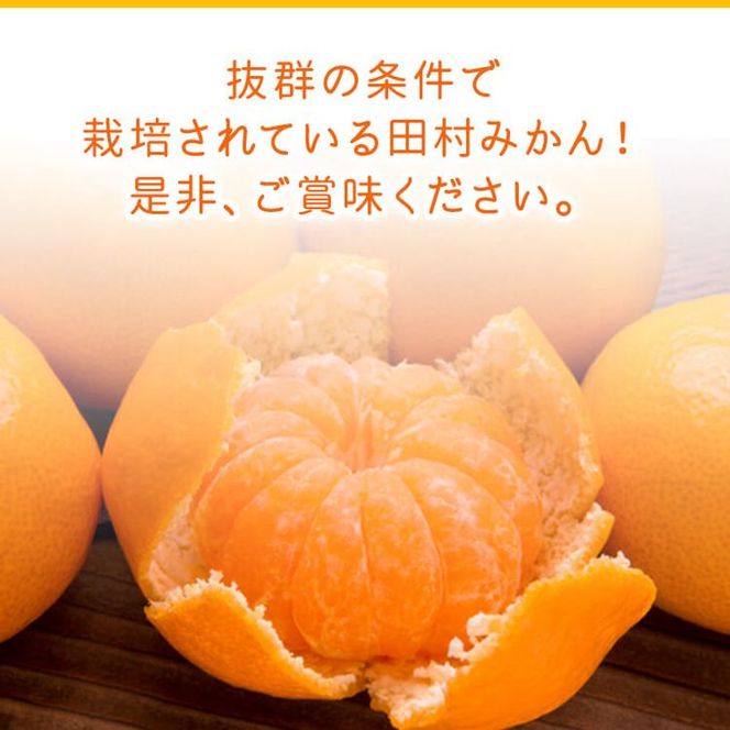 AB7431_《2026年11月～発送》【和歌山特産品】【2026年先行予約】【プレミアムブランド】絶品 田村みかん 秀品 Sサイズ 約5kg