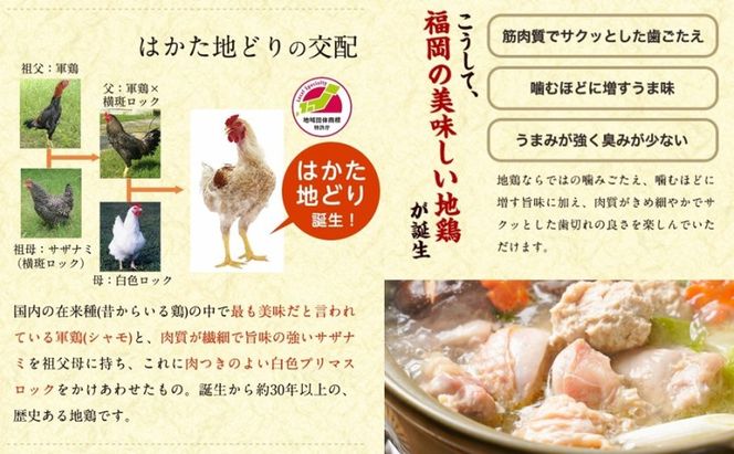 水炊き セット 3～4人前 福岡 限定！はかた地どり 鶏 肉 とり肉 鳥肉 鶏肉 鍋 なべ スープ付き ポン酢 コラーゲン 地鶏 冷凍 贈答品 送料無料 配送不可：離島 